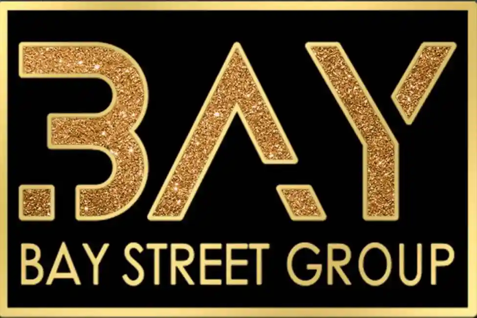 Harry Riahi Bay Street Group